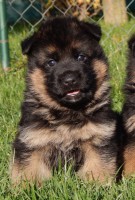 /album/a4-weeks/kopie-dscn4177-jpg/